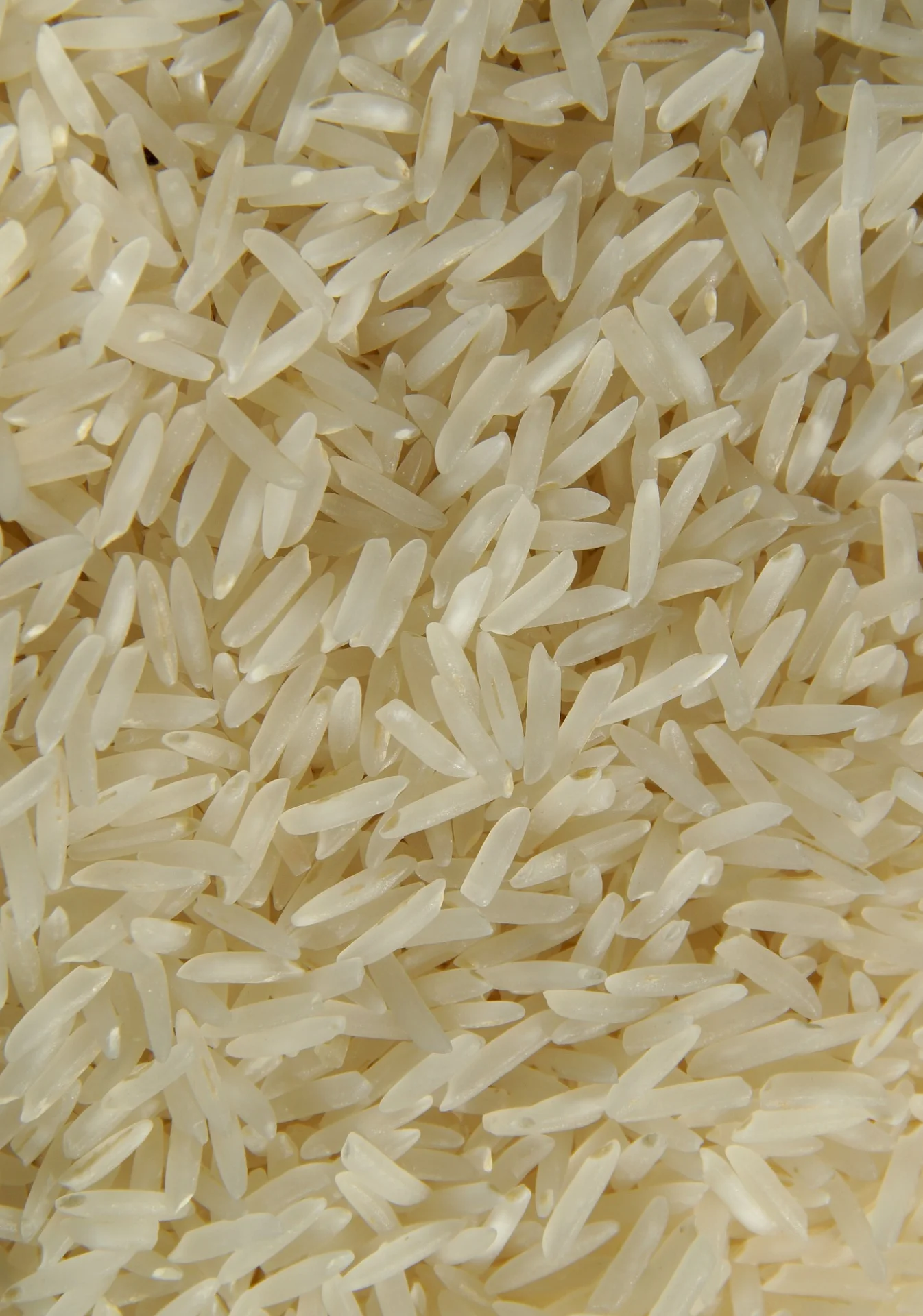 Pakistani Basmati Rice