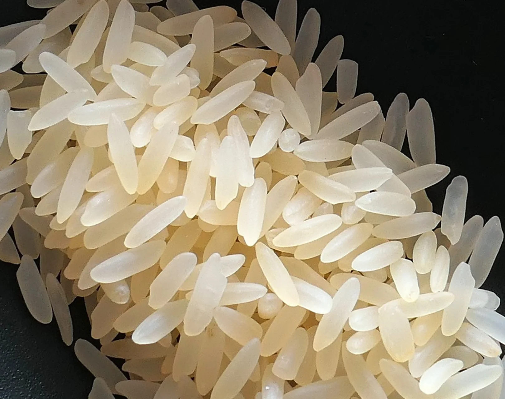 Pakistani Basmati Exporter